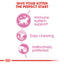 Royal Canin Feline Health Nutrition Kitten Jelly (WET FOOD - Pouches) 12x85G
