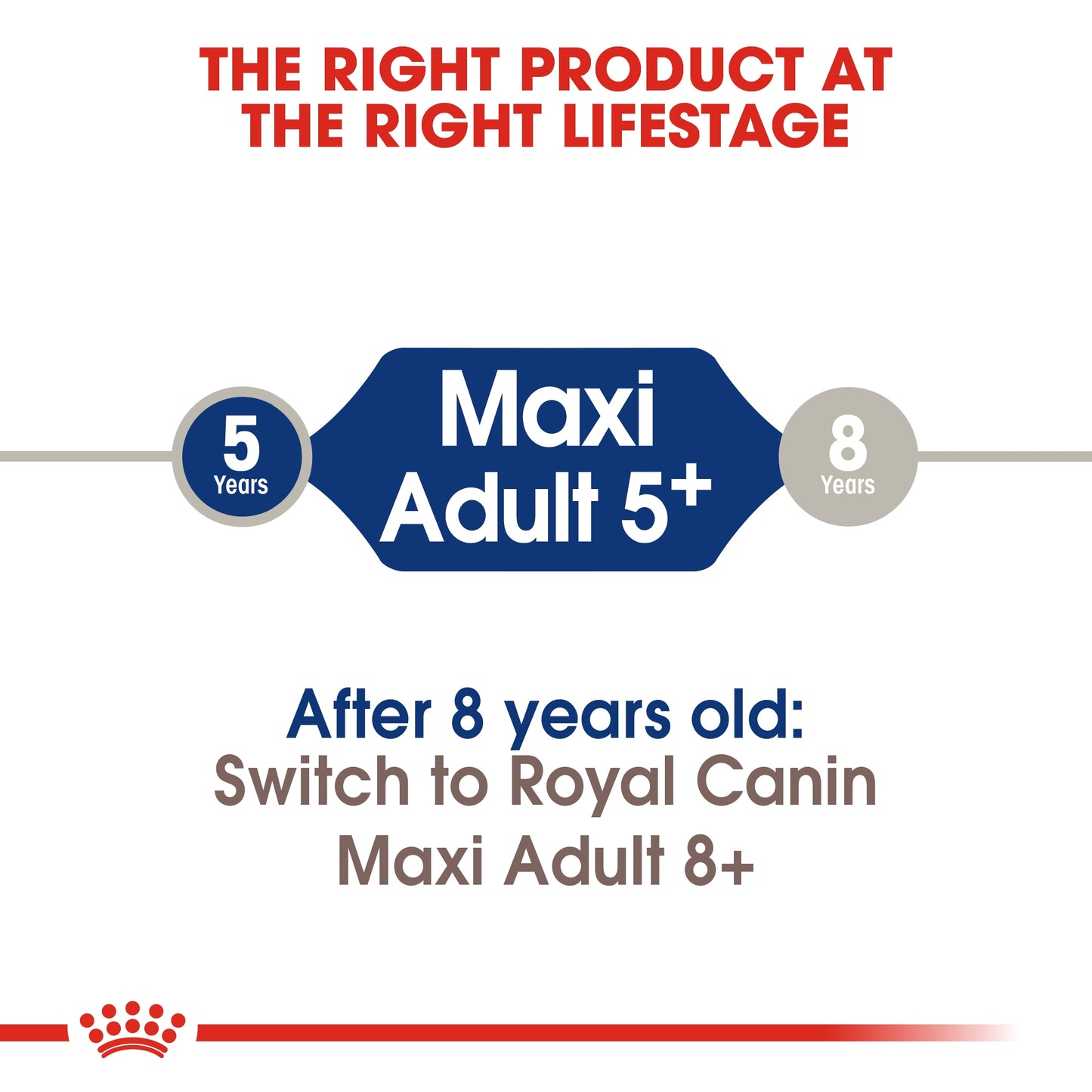 Royal Canin Size Health Nutrition Maxi Adult 5 15 KG