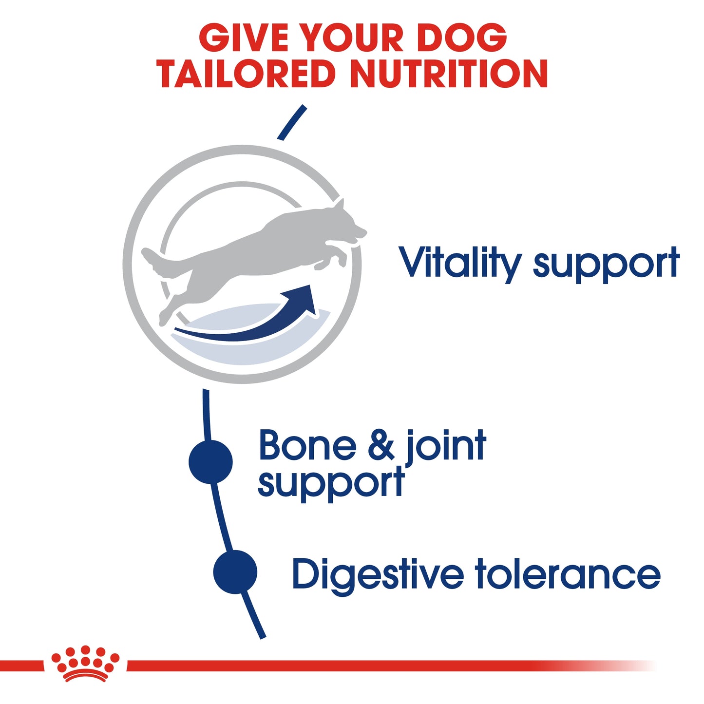 Royal Canin Size Health Nutrition Maxi Adult 5 15 KG
