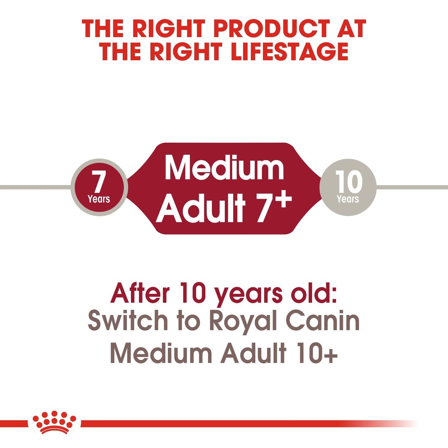 Royal Canin Size Health Nutrition Medium Adult 7+