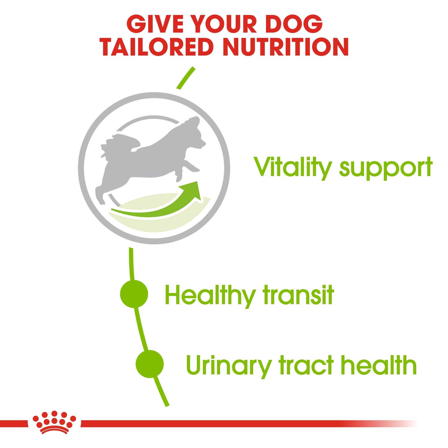 Royal Canin Size Health Nutrition XS Adult 8+ 1.5 KG