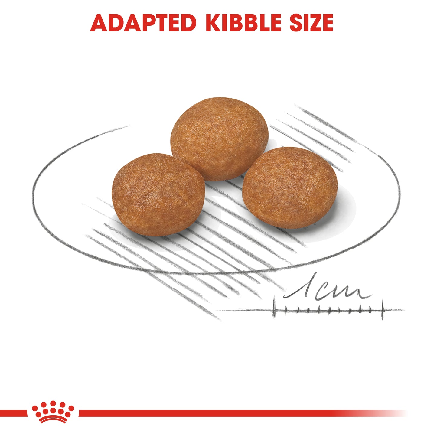 Royal Canin Size Health Nutrition XS Adult 8+ 1.5 KG