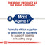 Royal Canin Size Health Nutrition Maxi Ageing 8 15 KG