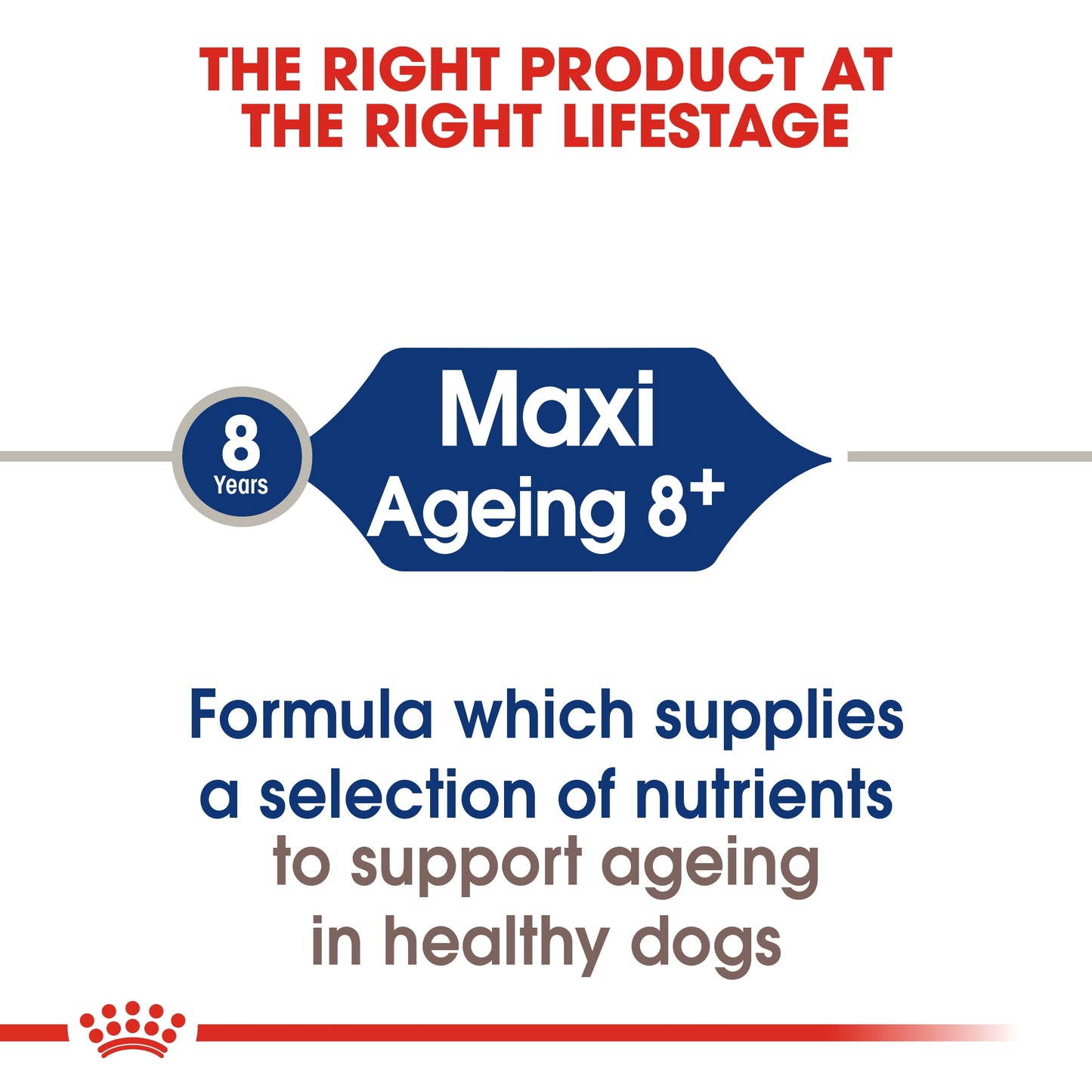 Royal Canin Size Health Nutrition Maxi Ageing 8 15 KG