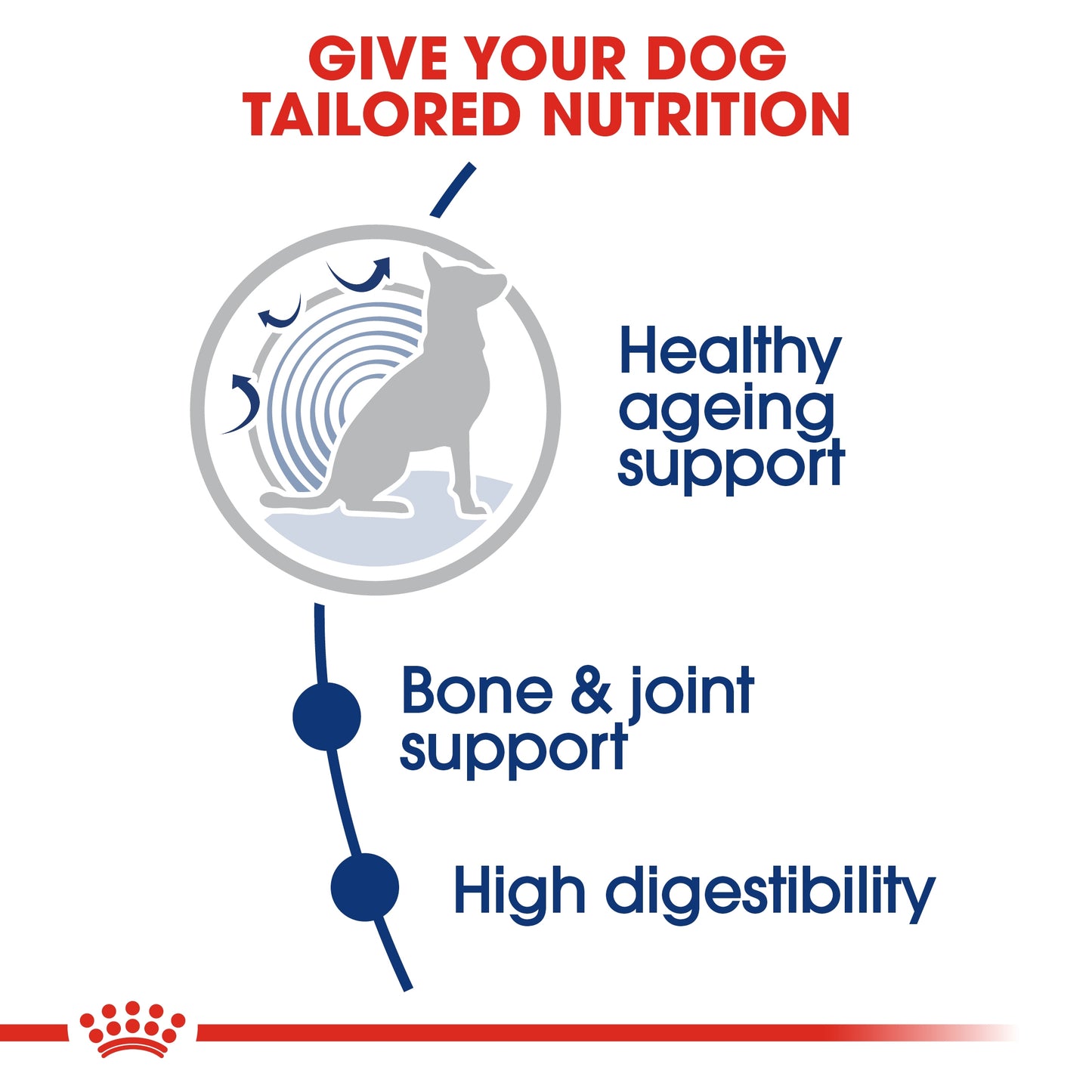 Royal Canin Size Health Nutrition Maxi Ageing 8 15 KG
