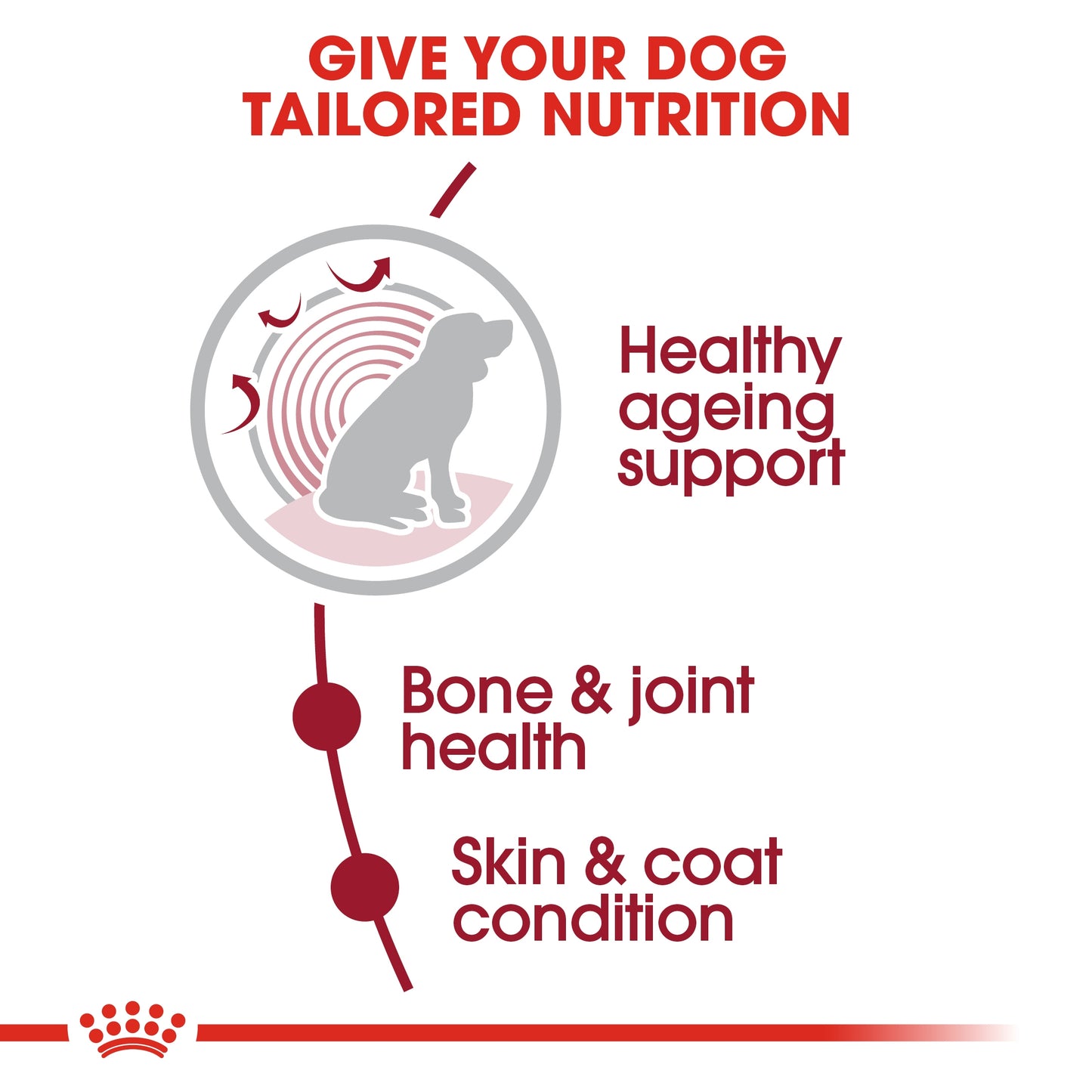 Royal Canin Size Health Nutrition Medium Ageing 10 - 3kg
