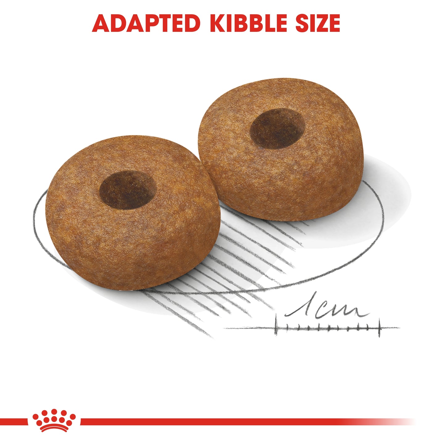 Royal Canin Size Health Nutrition Medium Ageing 10 - 3kg