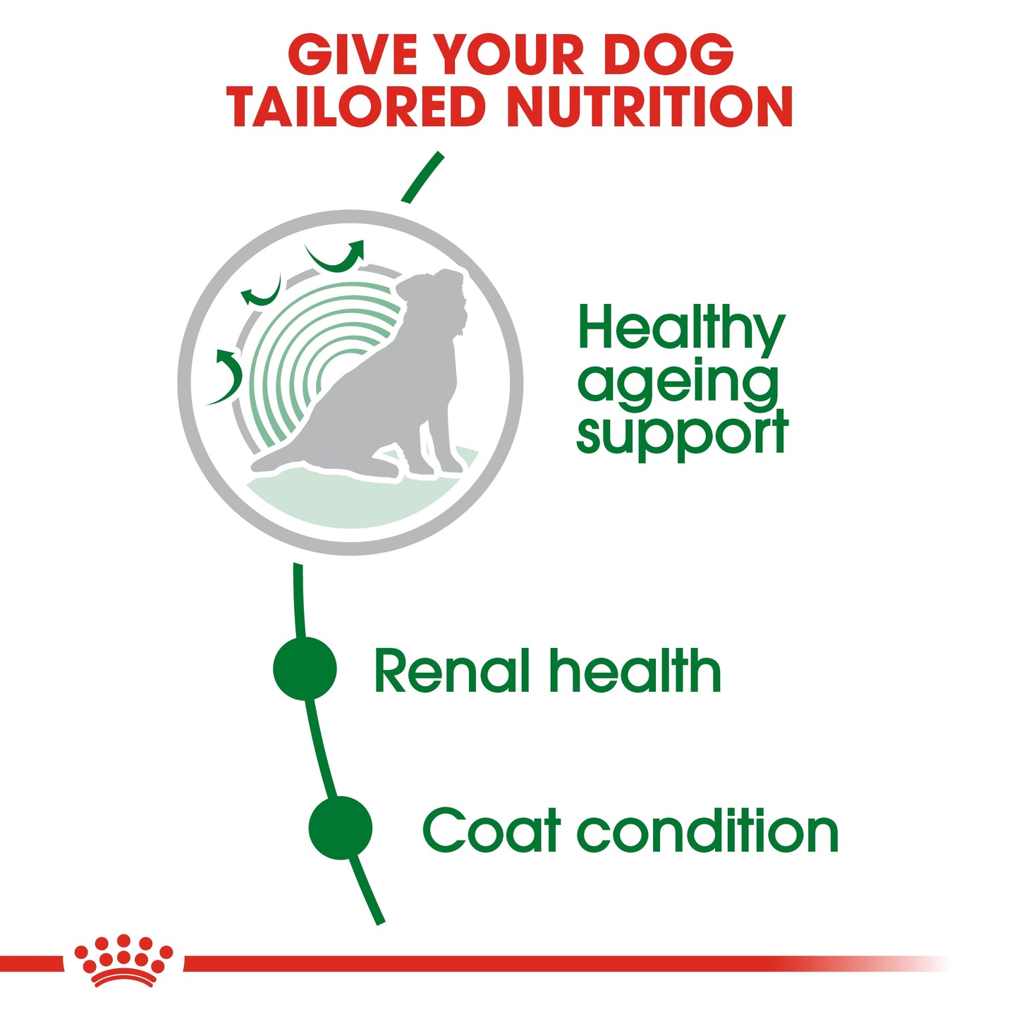 Royal Canin Size Health Nutrition Mini Ageing 12 1.5 KG
