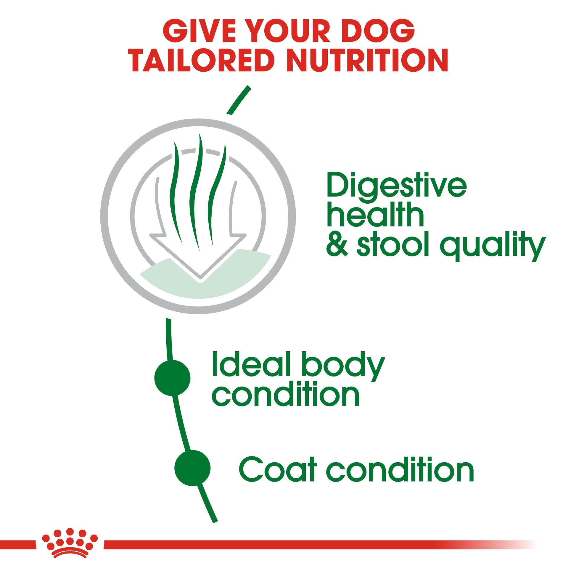 Royal Canin Adult Dog Food