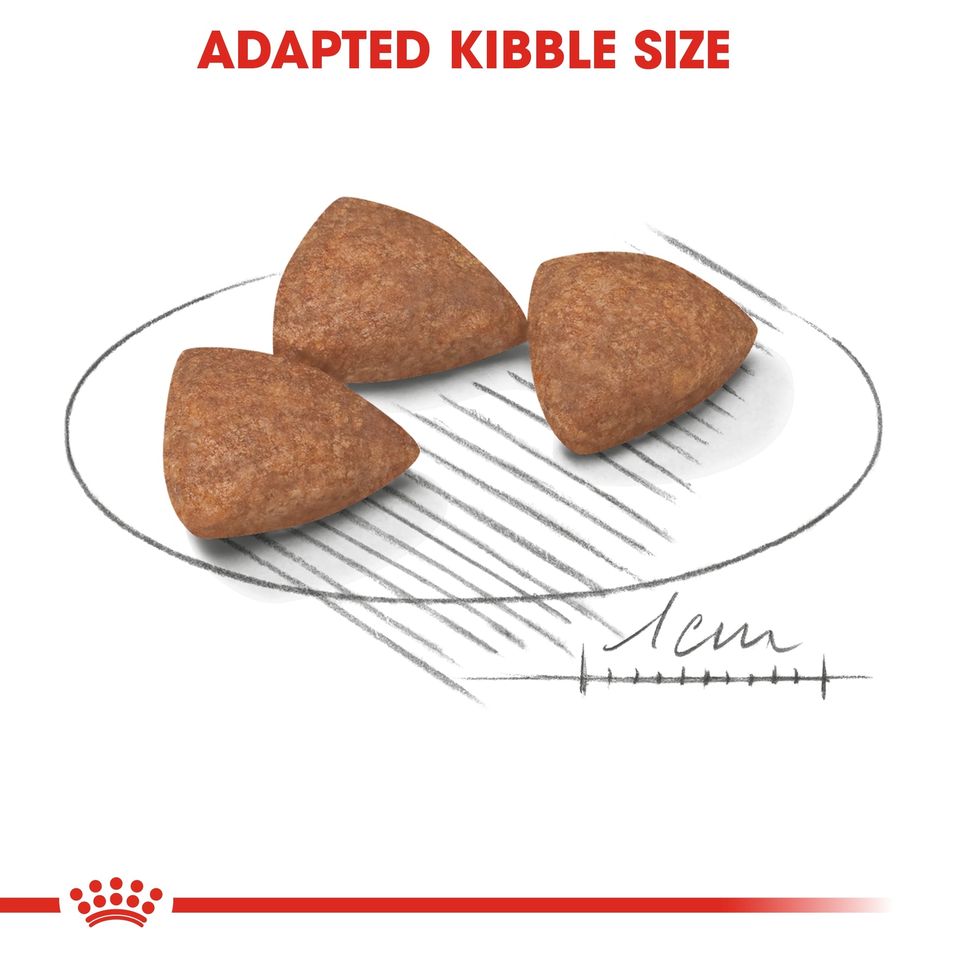 Royal Canin Adult Dog Food