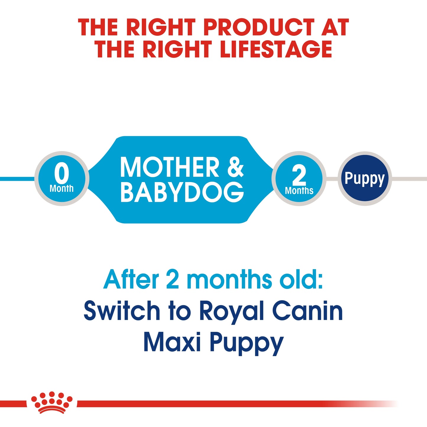 Royal Canin Size Health Nutrition Maxi Starter