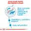 Royal Canin Size Health Nutrition Maxi Starter