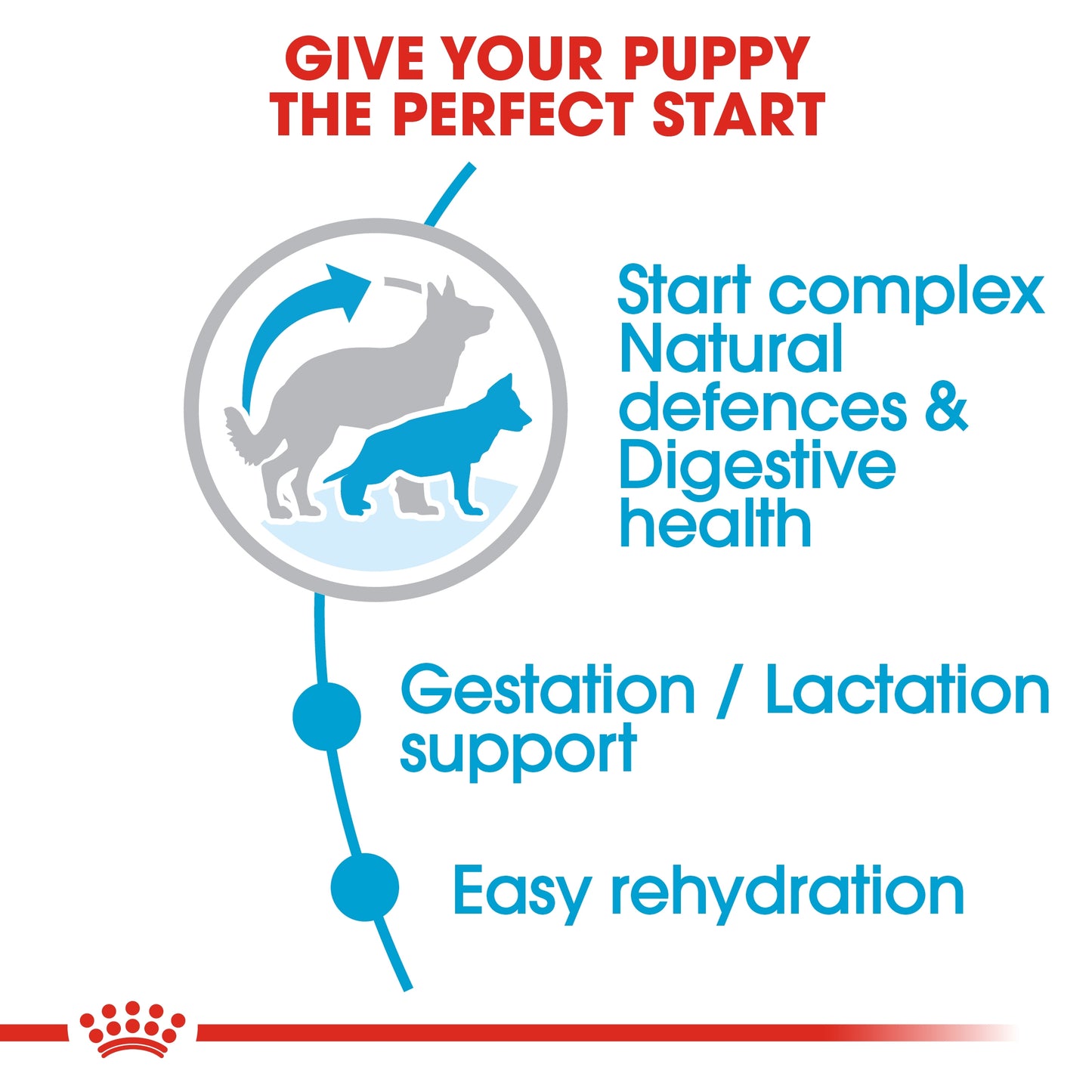 Royal Canin Size Health Nutrition Maxi Starter
