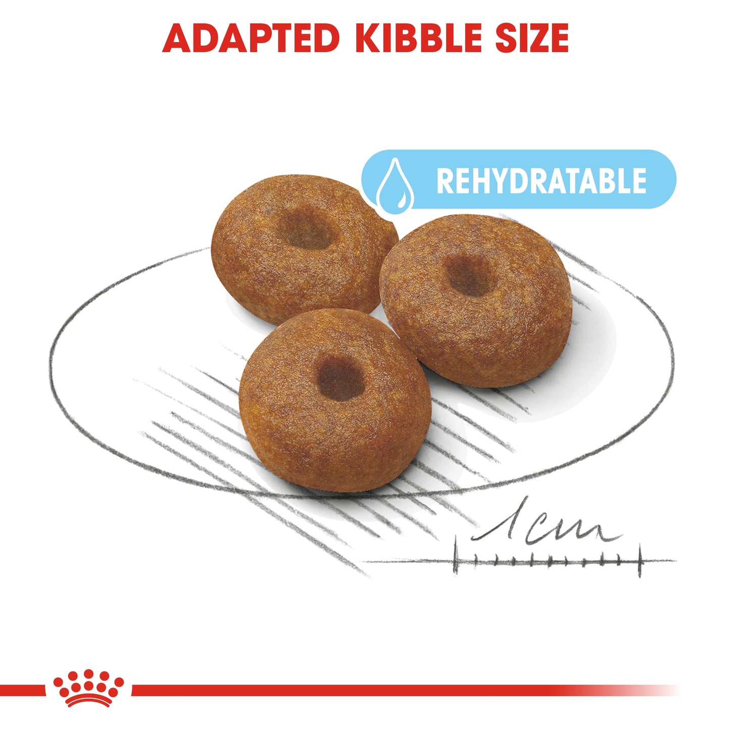 Royal Canin Size Health Nutrition Maxi Starter