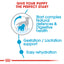Royal Canin Size Health Nutrition Medium Starter 4 KG