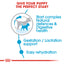 Royal Canin Size Health Nutrition Mini Starter 1 KG
