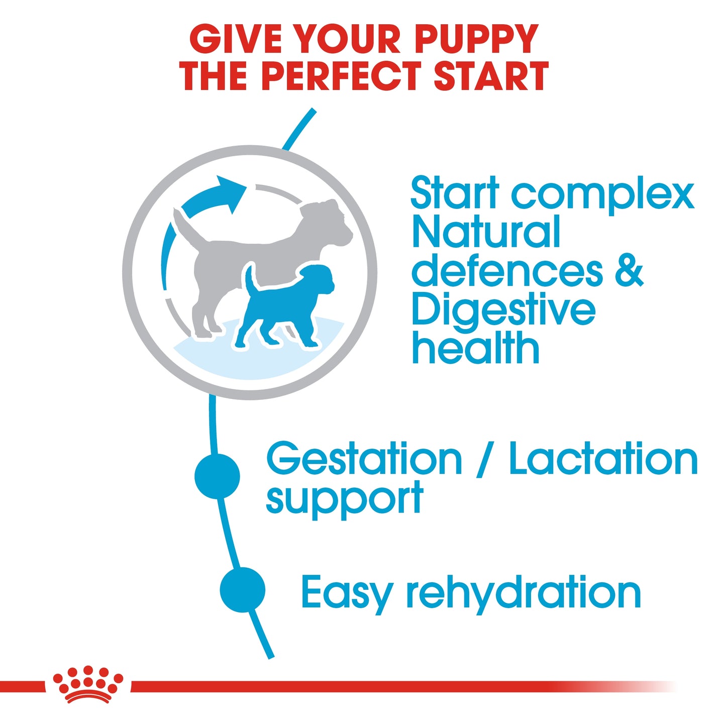 Royal Canin Size Health Nutrition Mini Starter 1 KG