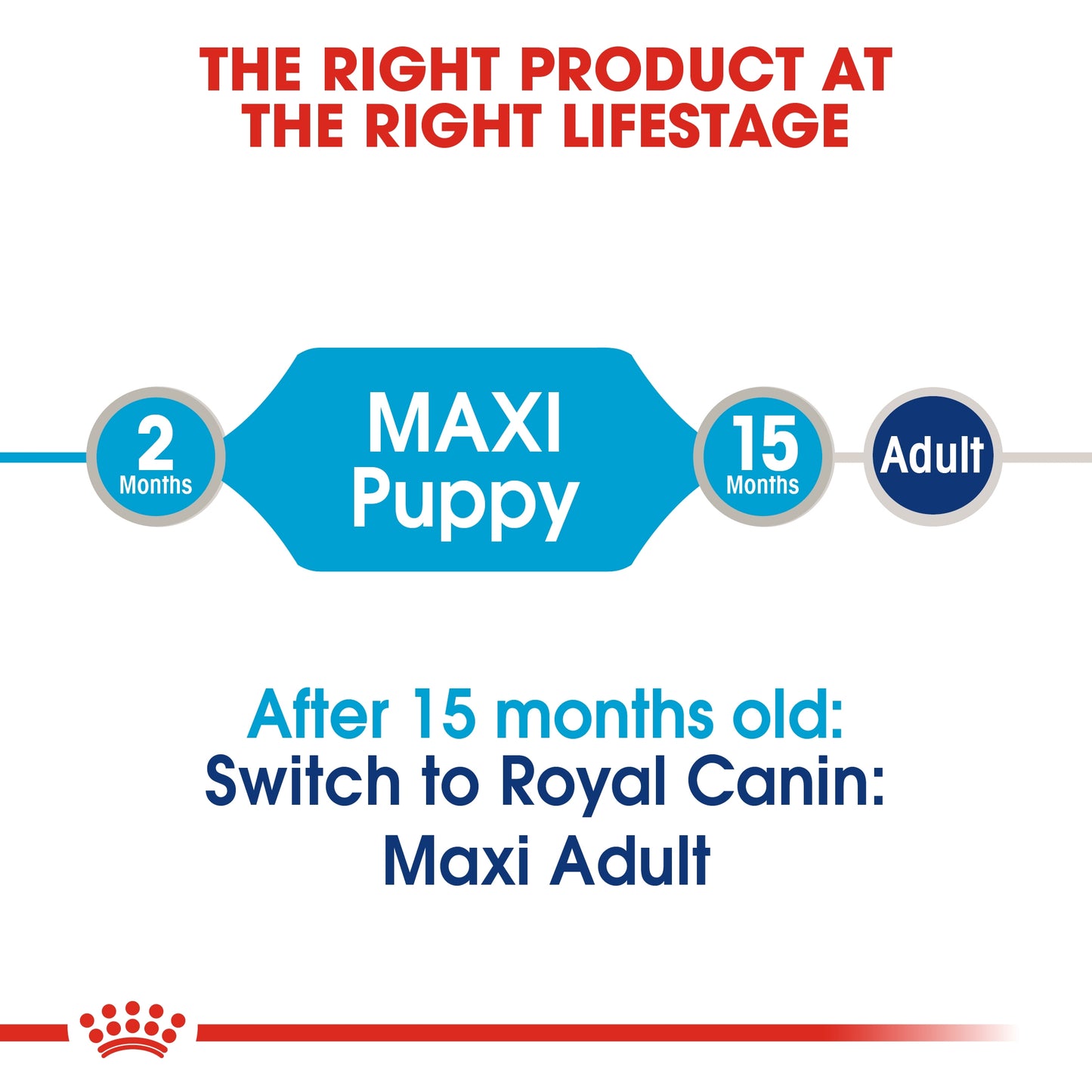 Royal Canin Size Health Nutrition Maxi Puppy (WET FOOD - Pouches)