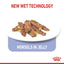 Royal Canin  Feline Health Nutrition Indoor Jelly (WET FOOD - Pouches) 12 x 85g