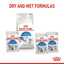 Royal Canin  Feline Health Nutrition Indoor Jelly (WET FOOD - Pouches) 12 x 85g