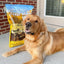 Taste Of Wild High prairie Canine Recipe with Roasted Bison & Roasted Venison