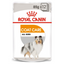 Royal Canin Coat Care Wet Dog Food 12x85g UAE Buy PetCentral