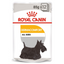 Royal Canin Dermacomfort Wet Dog Food 12x85g UAE Buy PetCentral