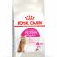 Cat Dry Food - Royal Canin Exigent Protein Cat Dry Food 2kg bag available at PetCentral UAE