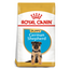 Royal Canin German Shepherd Puppy Dry Food available at PetCentral UAE