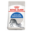 Royal Canin Indoor Cat Food 2 KG UAE Buy PetCentral