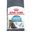 Royal Canin Urinary Care Cat Food 2 KG UAE Buy PetCentral