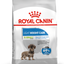 Royal Canin XS Adult Light Weight Care Dog Food 1.5 KG UAE Buy PetCentral