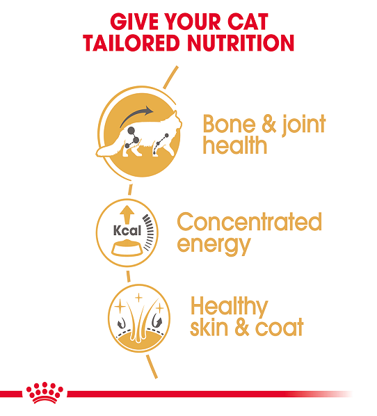 Royal Canin  Feline Breed Nutrition Maine Coon (WET FOOD - Pouches) 12 x 85g