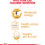 Royal Canin Feline Breed Nutrition British Shorthair (WET FOOD - Pouches) 12 x 85g