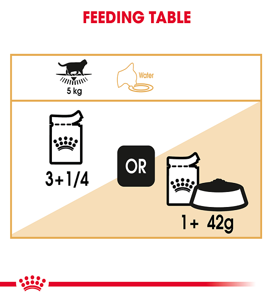 Royal Canin Feline Breed Nutrition British Shorthair (WET FOOD - Pouches) 12 x 85g