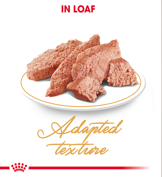 Royal Canin  Feline Breed Nutrition Persian (WET FOOD - Pouches) 12 x 85g
