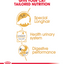 Royal Canin  Feline Breed Nutrition Persian (WET FOOD - Pouches) 12 x 85g