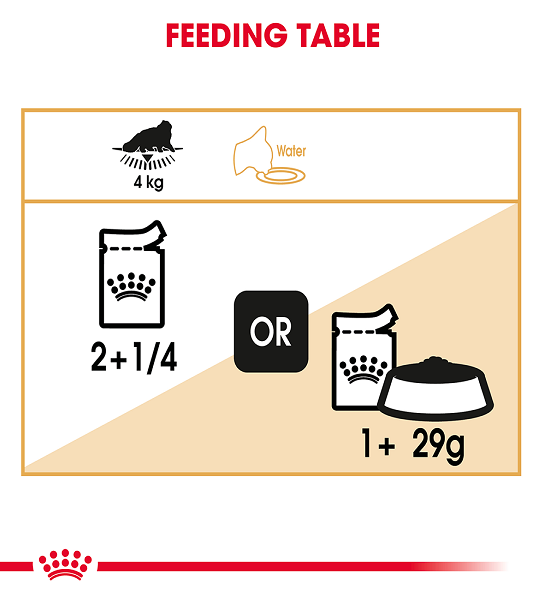 Royal Canin  Feline Breed Nutrition Persian (WET FOOD - Pouches) 12 x 85g