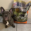 Taste Of Wild High prairie Puppy Recipe with Roasted Bison & Roasted Venison