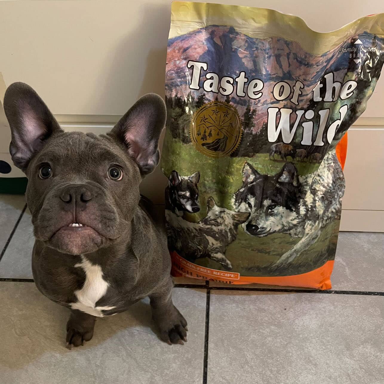 Taste Of Wild High prairie Puppy Recipe with Roasted Bison & Roasted Venison