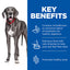 Hill’s Science Plan Perfect Digestion Large Adult 1+ Dog Food with Chicken and Brown Rice