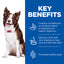 Hill’s Science Plan Perfect Digestion Medium Adult 1+ Dog Food with Chicken and Brown Rice