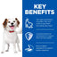 Hill's Science Plan Small and Mini Adult Dog Mousse - 12x200g
