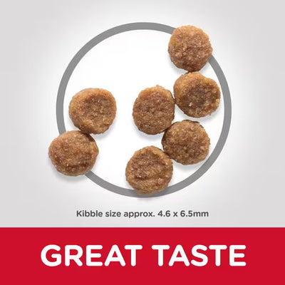 Hill's Science Plan Small & Mini Puppy Food with Lamb & Rice