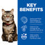 Hill's Science Plan Hairball & Perfect Coat Adult Dry Cat Food with Chicken