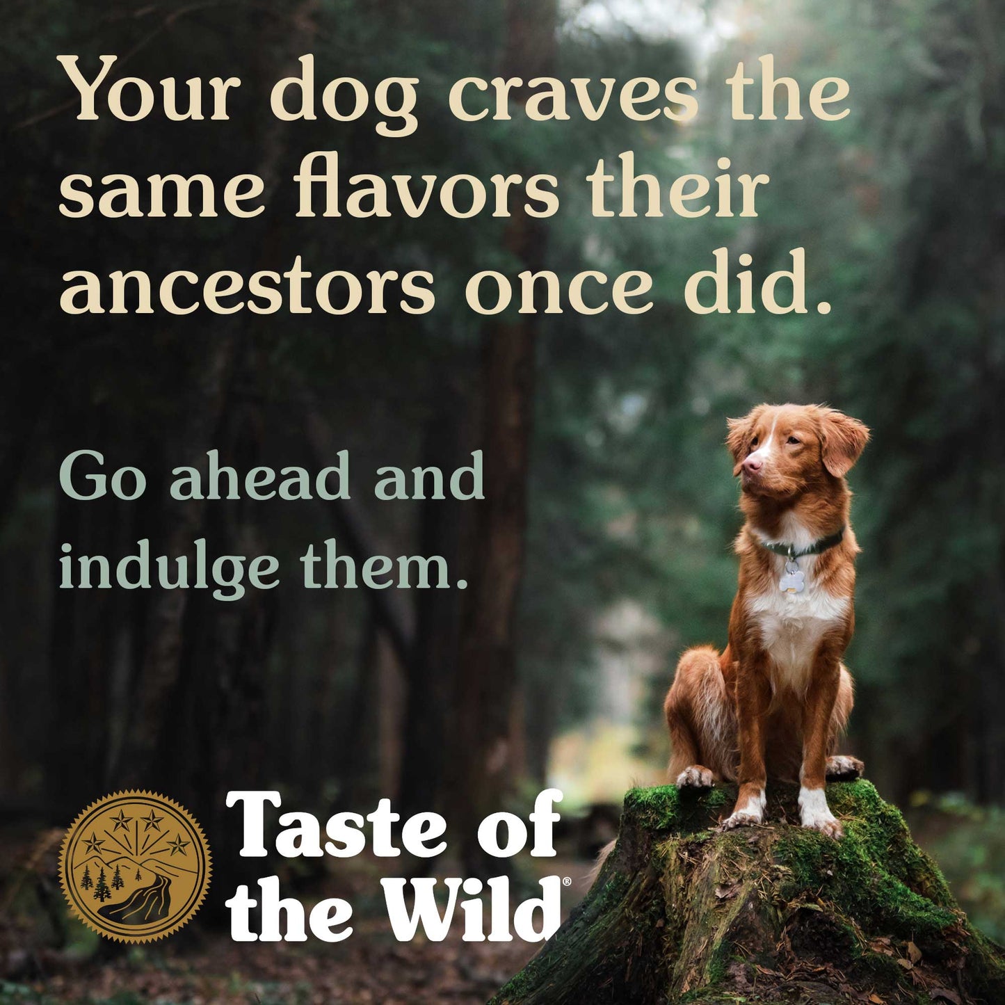 Taste Of Wild Ancient Mountain Canine Recipe - Lamb