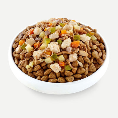 Applaws Taste Toppers Stew Beef with Vegetables Wet Dog Food 156g Tin