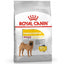 Royal Canin Canine Care Nutrition Medium Dermacomfort Dry Dog Food