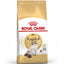 Royal Canin  Feline Breed Nutrition Ragdoll Adult Cat Wet Food 2 KG