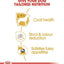 Royal Canin Breed Health Nutrition Maltese Adult Dry Dog Food 1.5 KG